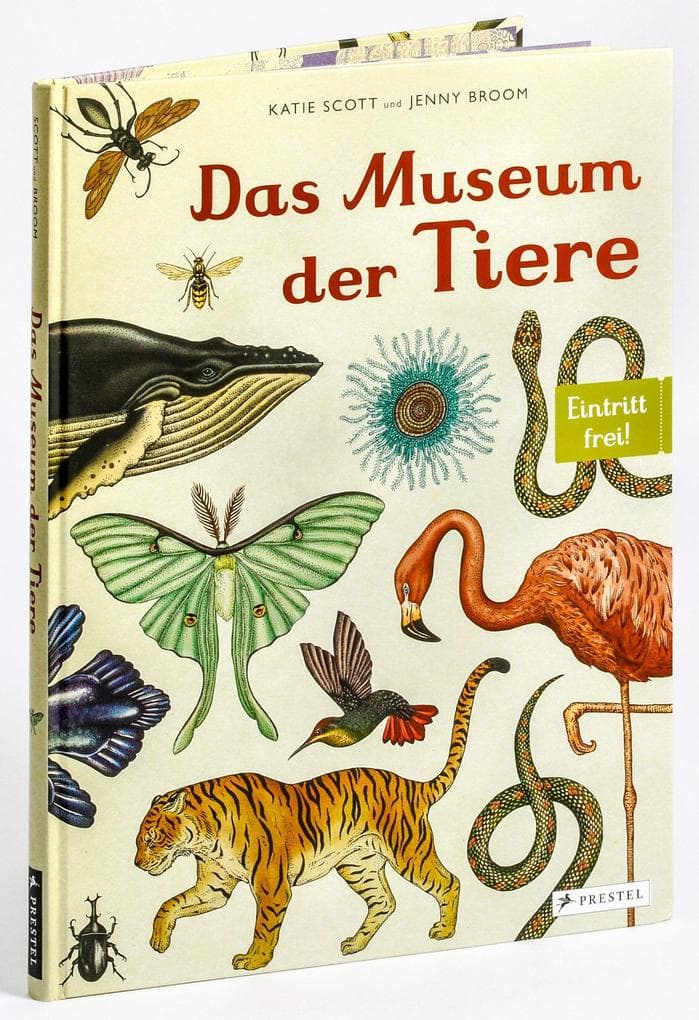 Das Museum der Tiere: Eintritt frei! - Sachbilderbuch im Großformat für Kinder ab 8 Jahren mit über 200 meisterhaften Tier-Illustrationen von Katie Scott
