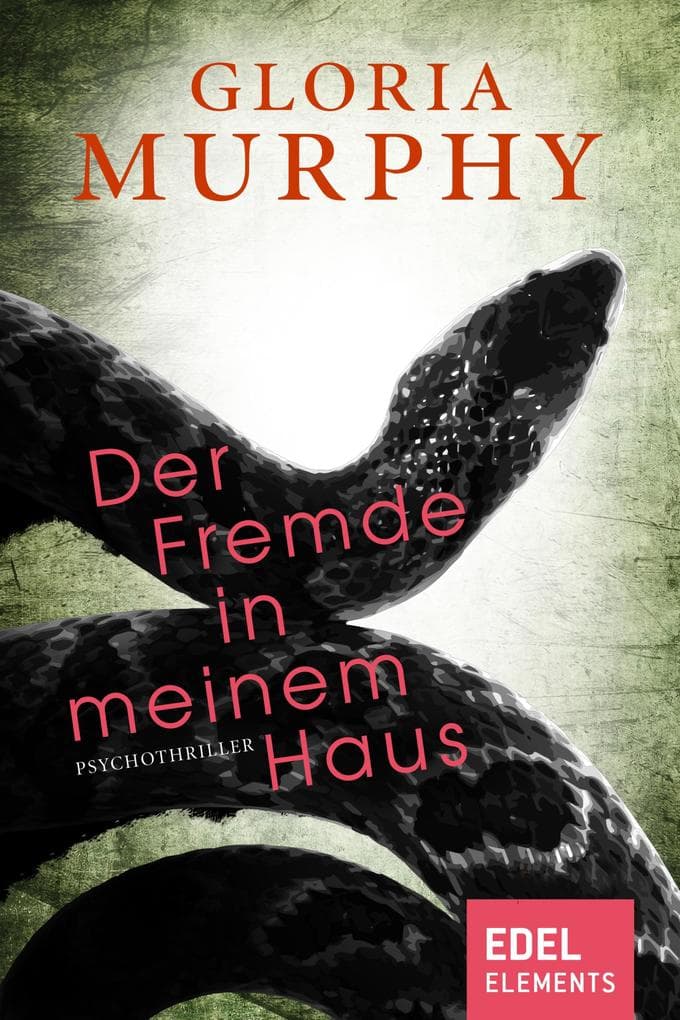 Der Fremde in meinem Haus: Psychothriller