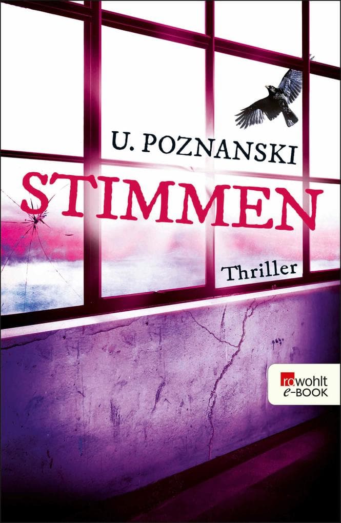 Stimmen: Salzburg-Thriller