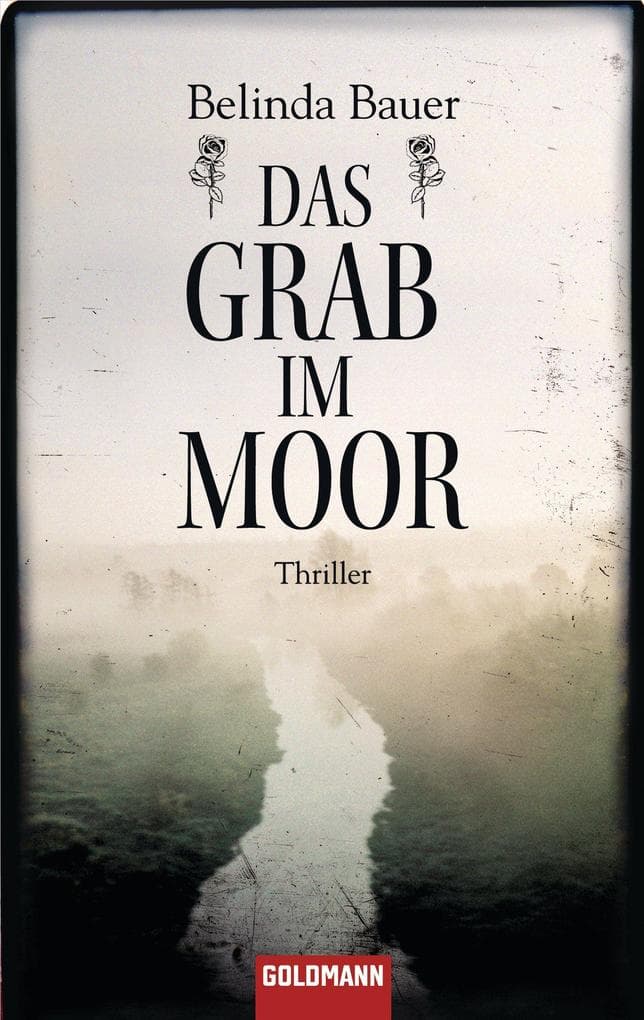 Das Grab im Moor: Thriller
