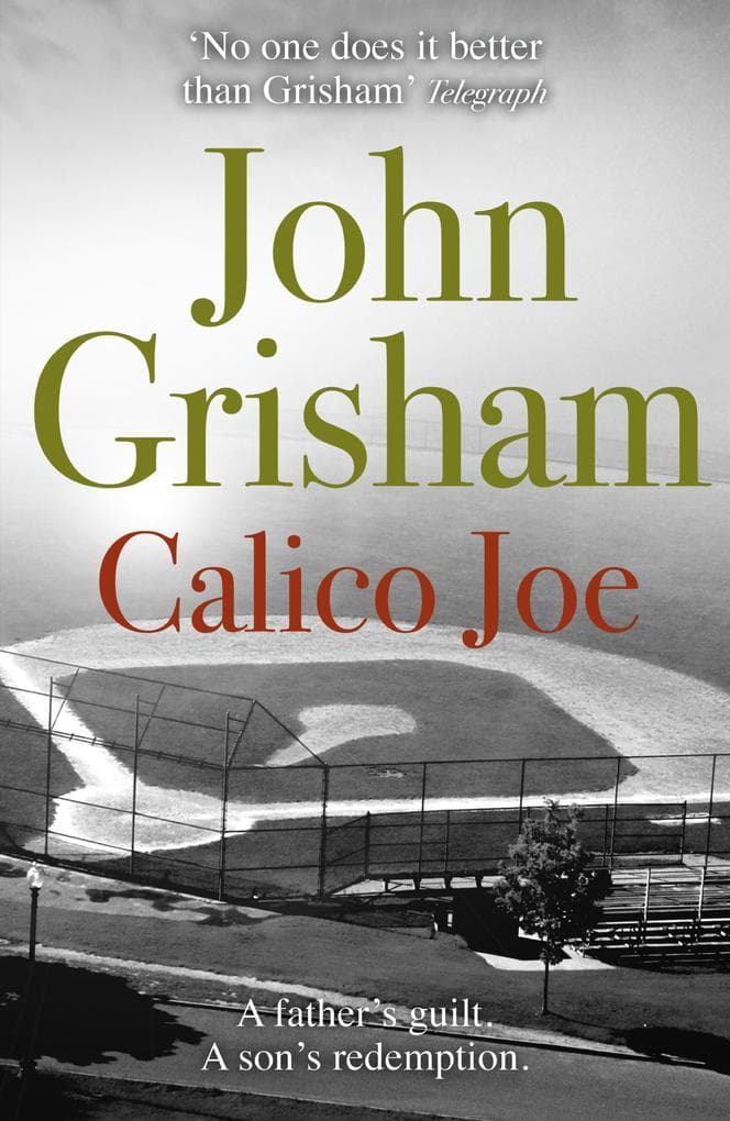 Calico Joe: The unforgettable family drama from the number 1 Sunday Times bestselling author