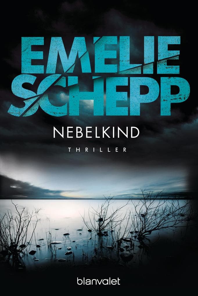Nebelkind: Thriller