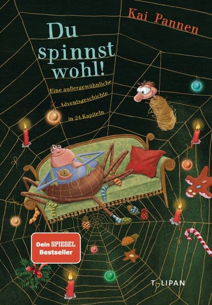 Du spinnst wohl!: Eine außergewöhnliche Adventsgeschichte in 24 Kapiteln
