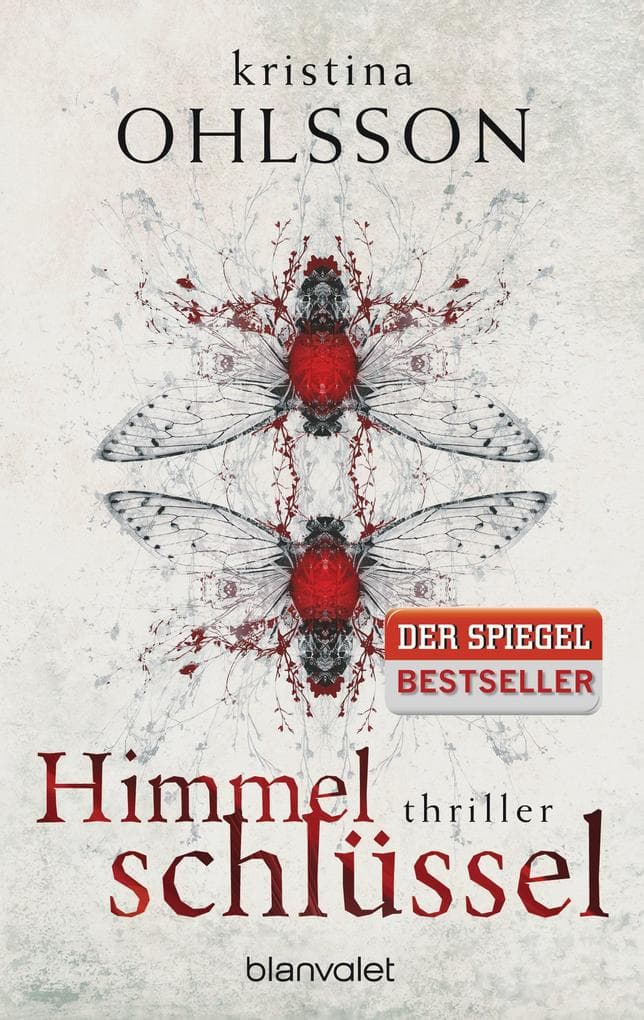 Himmelschlüssel: Thriller