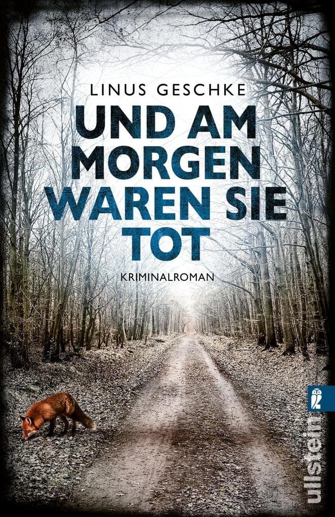 Und am Morgen waren sie tot: Kriminalroman | Düsterer Krimi für Fans von Cold Cases, investigativem Journalismus und politisch brisanten Verbrechen im Grenzgebiet.
