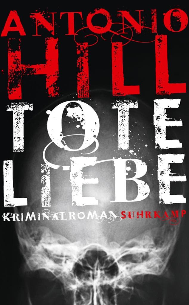 Tote Liebe - Kriminalroman (Héctor-Salgado-Trilogie 3): Kriminalroman