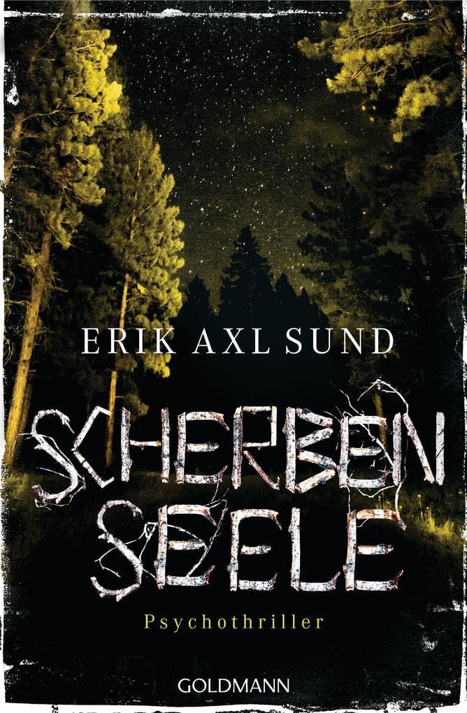 Scherbenseele: Psychothriller