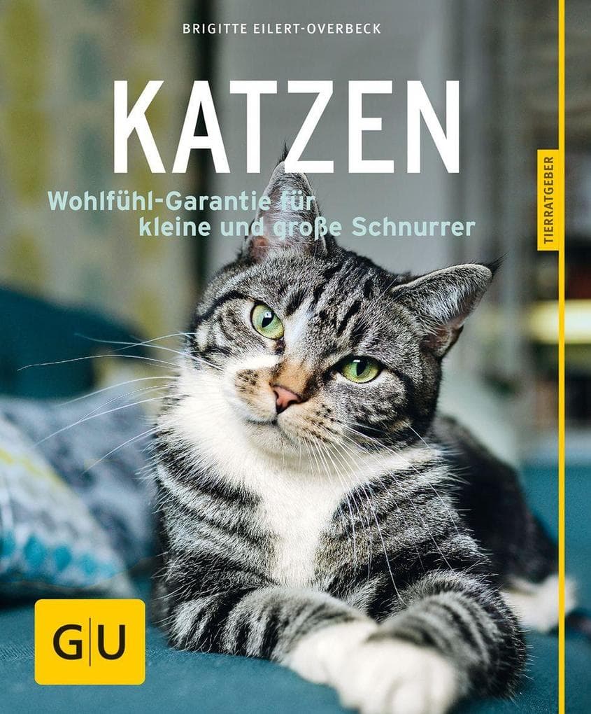 Katzen: Wohlfühl-Garantie für kleine und große Schnurrer