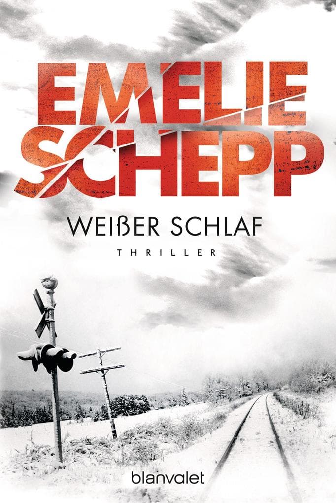 Weißer Schlaf: Thriller