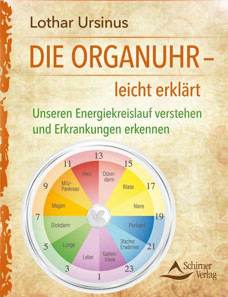 Die Organuhr - leicht erklärt: Unseren Energiekreislauf verstehen und Erkrankungen erkennen