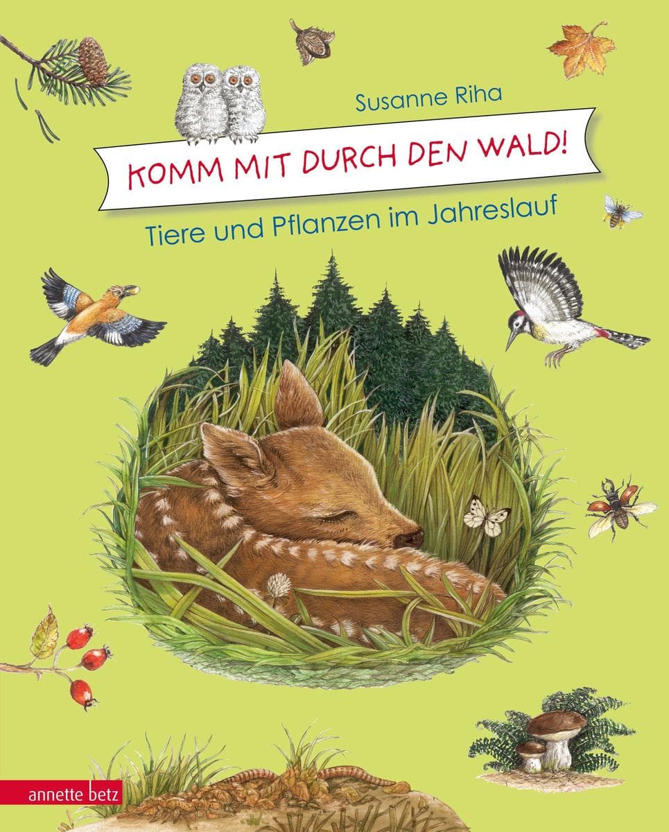 Kommt mit durch den Wald: Tiere und Pflanzen im Jahreslauf