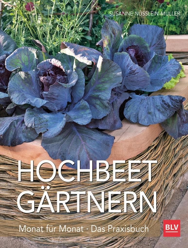 Hochbeet-Gärtnern Monat für Monat: Das Praxisbuch
