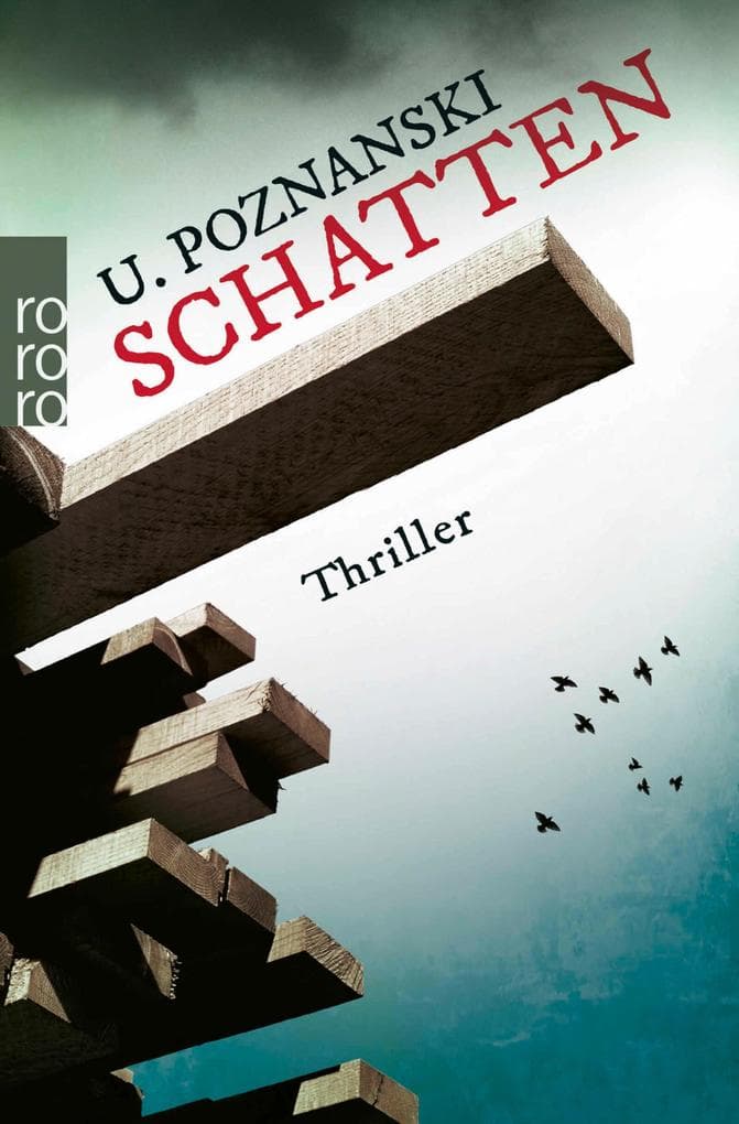 Schatten: Salzburg-Thriller