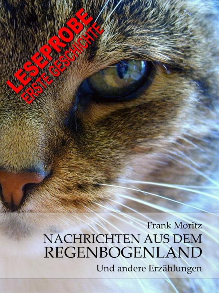 Nachrichten aus dem Regenbogenland: Erste Geschichte