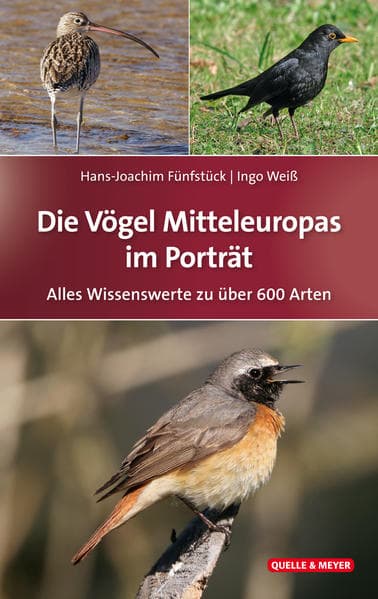 Die Vögel Mitteleuropas im Porträt: Alles Wissenswerte zu über 600 Arten