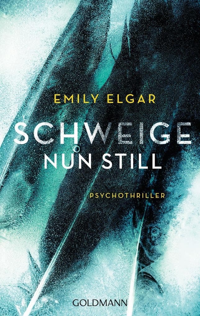 Schweige nun still: Psychothriller