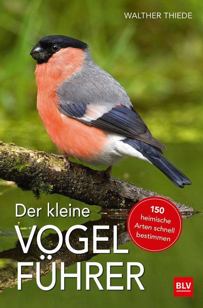 Der kleine Vogelführer: 150 heimische Arten schnell bestimmen