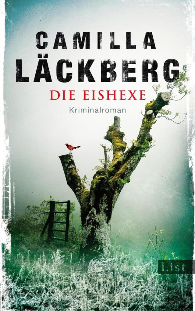 Die Eishexe: Kriminalroman