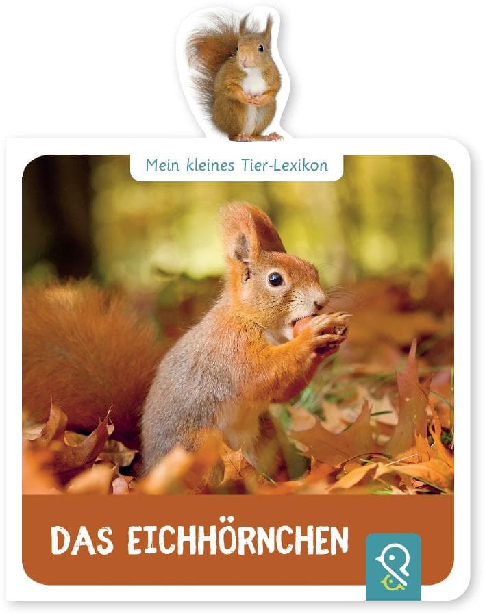 Mein kleines Tier-Lexikon - Das Eichhörnchen: Mein kleines Tier-Lexikon