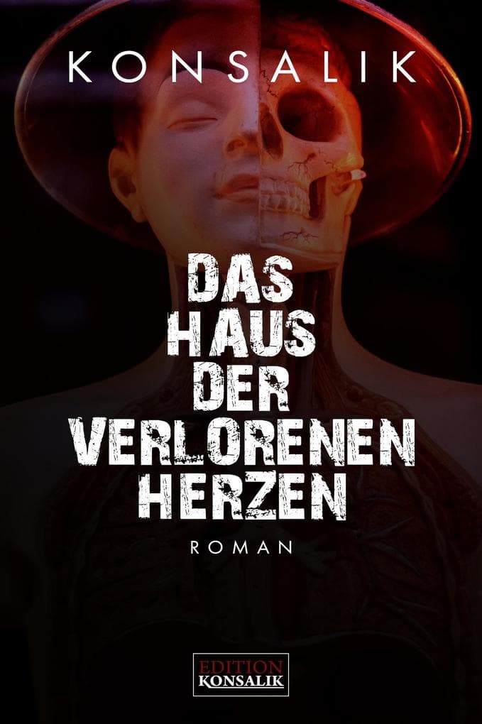 Das Haus der verlorenen Herzen: Thriller