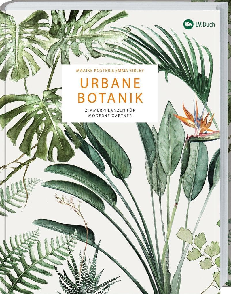 Urbane Botanik: Zimmerpflanzen für moderne Gärtner
