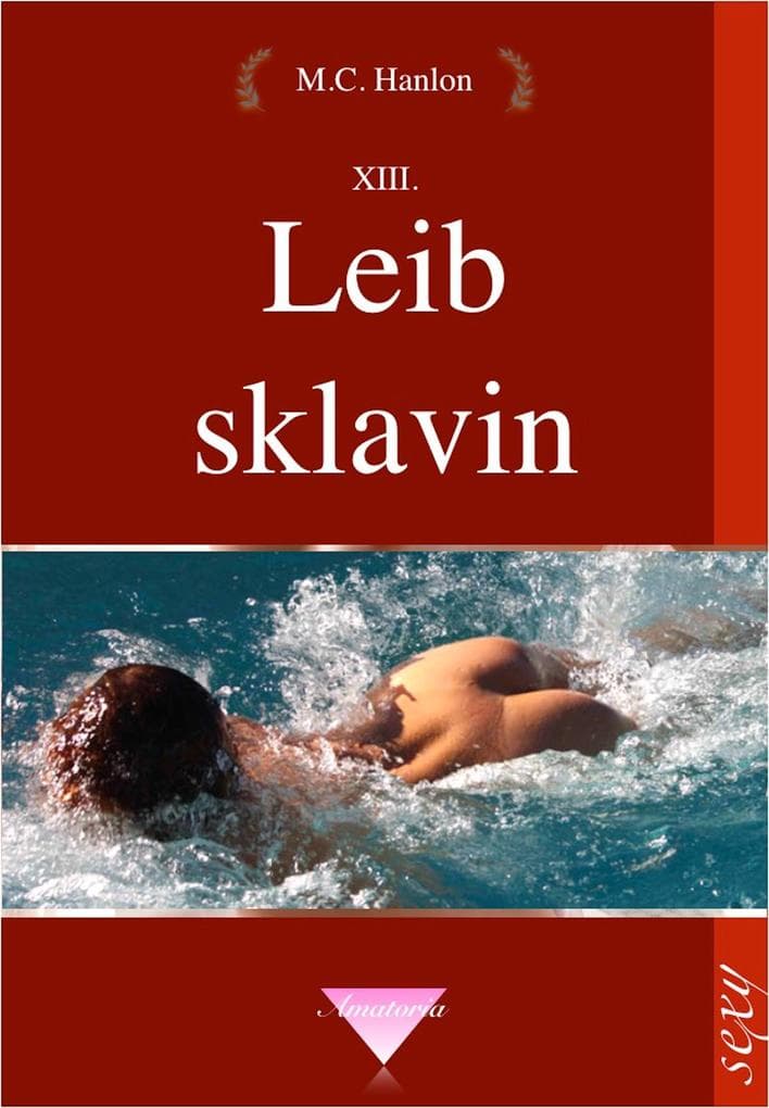 Leibsklavin: Erotische Kurzgeschichten, Sexgeschichten