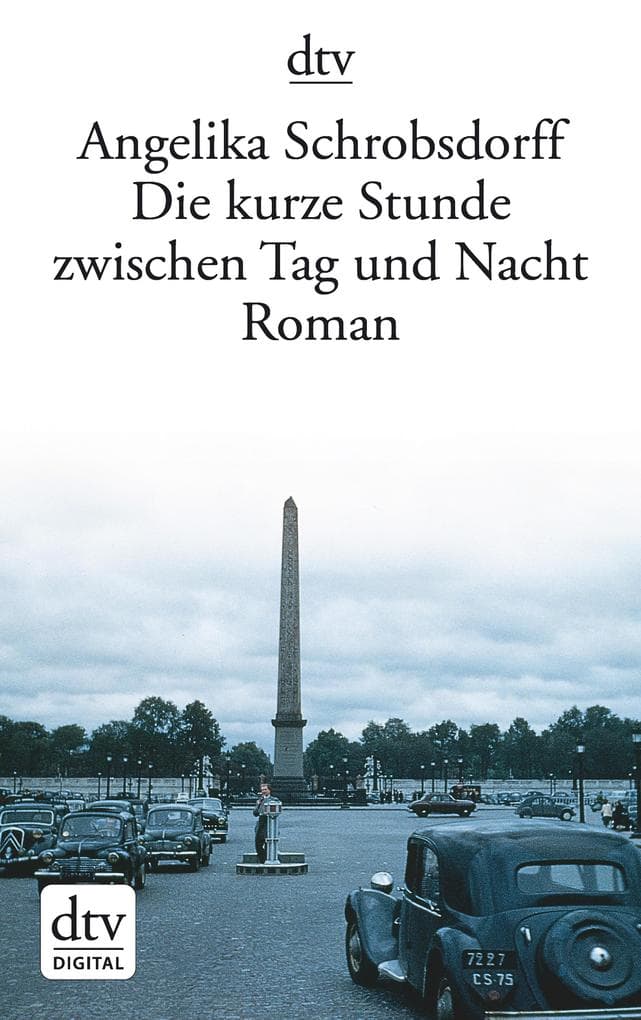 Die kurze Stunde zwischen Tag und Nacht: Roman