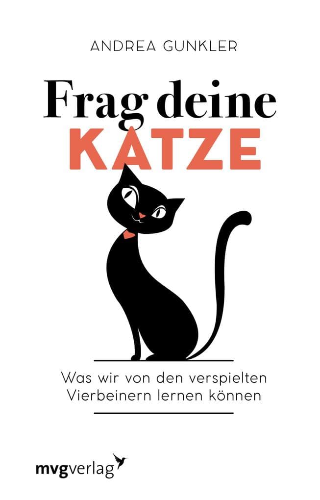 Frag deine Katze: Was wir von den verspielten Vierbeinern lernen können