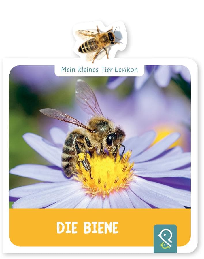 Mein kleines Tier-Lexikon - Die Biene: Mein kleines Tier-Lexikon