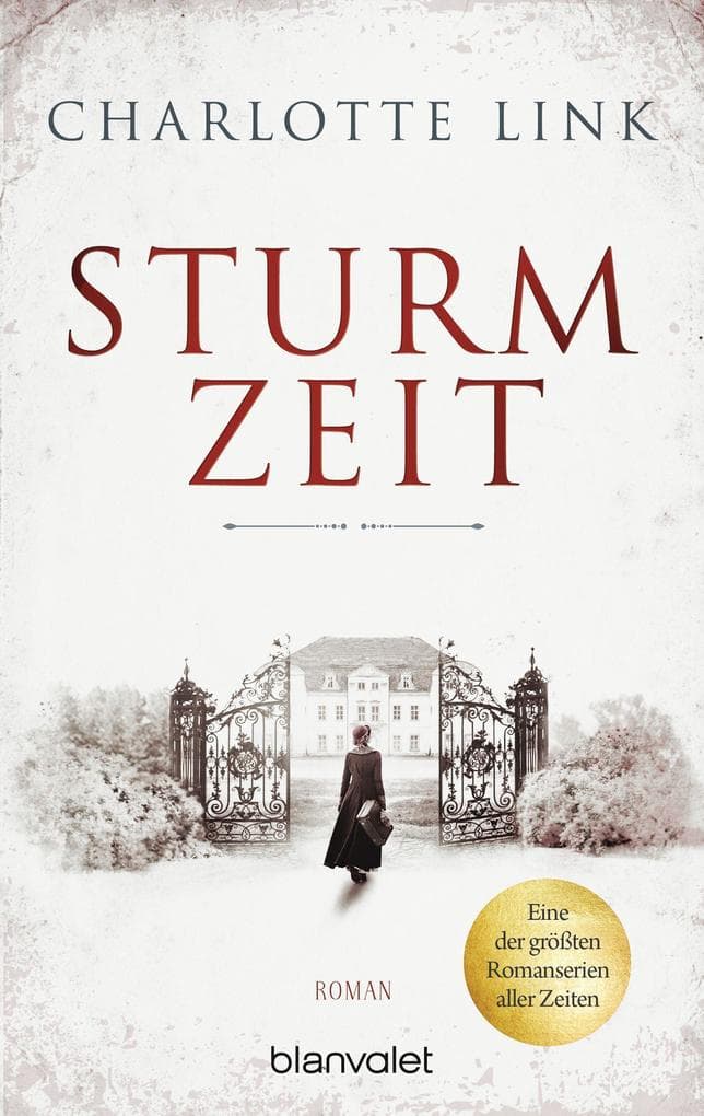 Sturmzeit Bd. 1: Roman