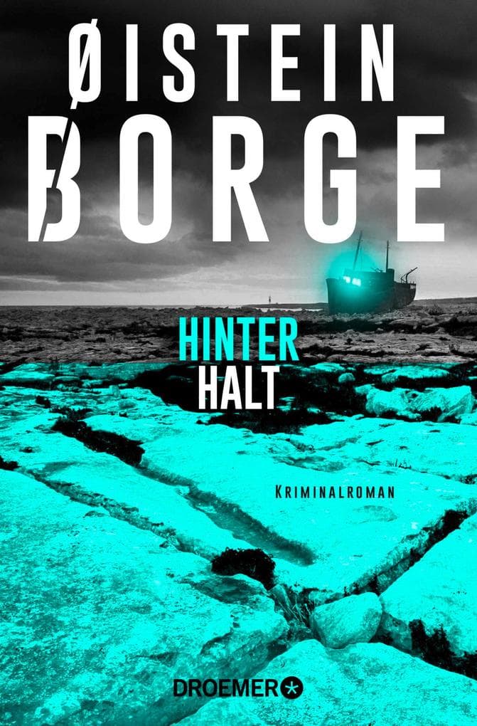 Hinterhalt: Kriminalroman