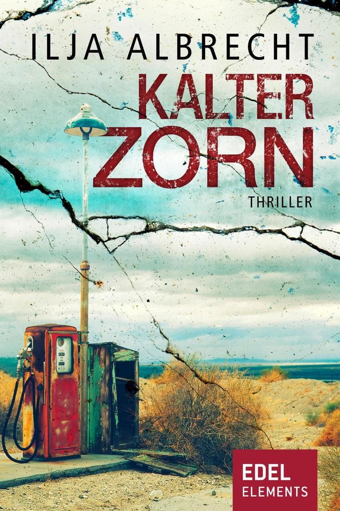 Kalter Zorn: Thriller