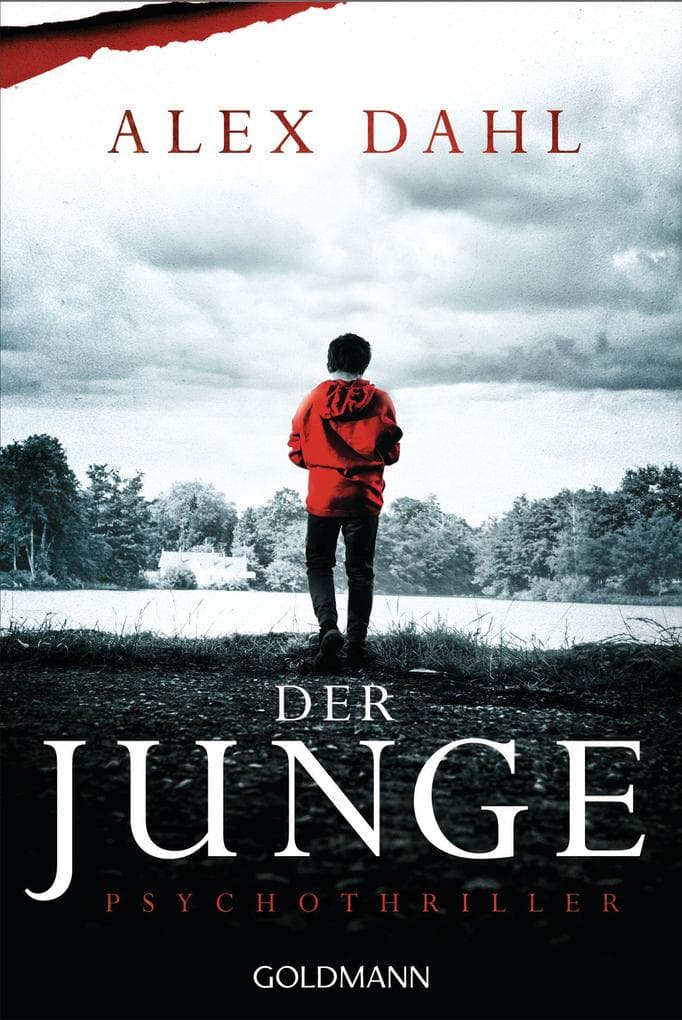 Der Junge: Psychothriller