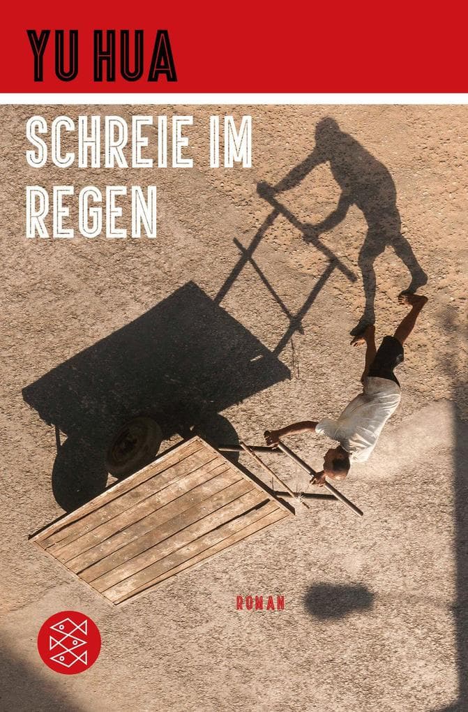 Schreie im Regen: Roman