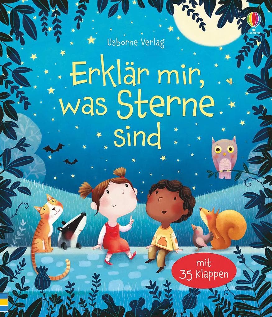 Erklär mir, was Sterne sind: Mit 35 Klappen
