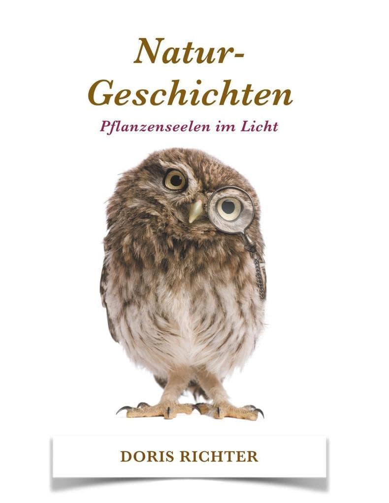 Natur - Geschichten: Pflanzenseelen im Licht