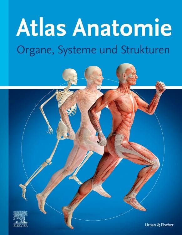 Atlas Anatomie: Organe, Systeme und Strukturen