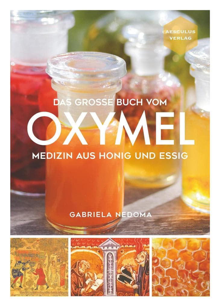 Das große Buch vom OXYMEL: Medizin aus Honig und Essig