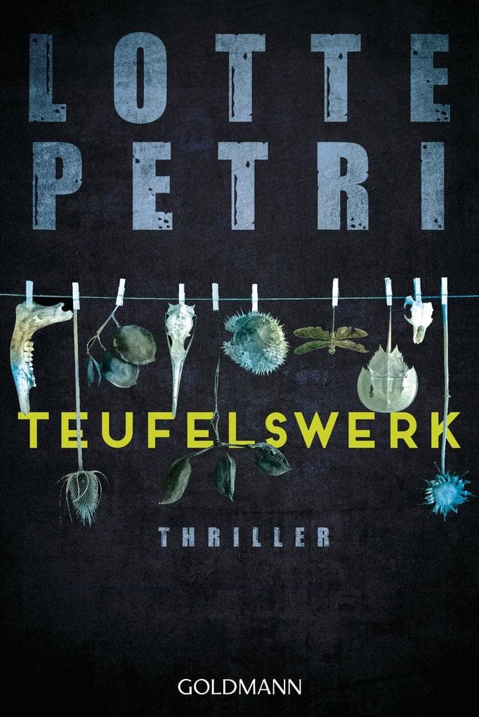 Teufelswerk: Thriller