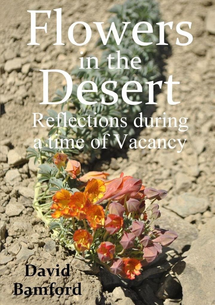 Flowers in the Desert: Reflections during a time of Vacancy