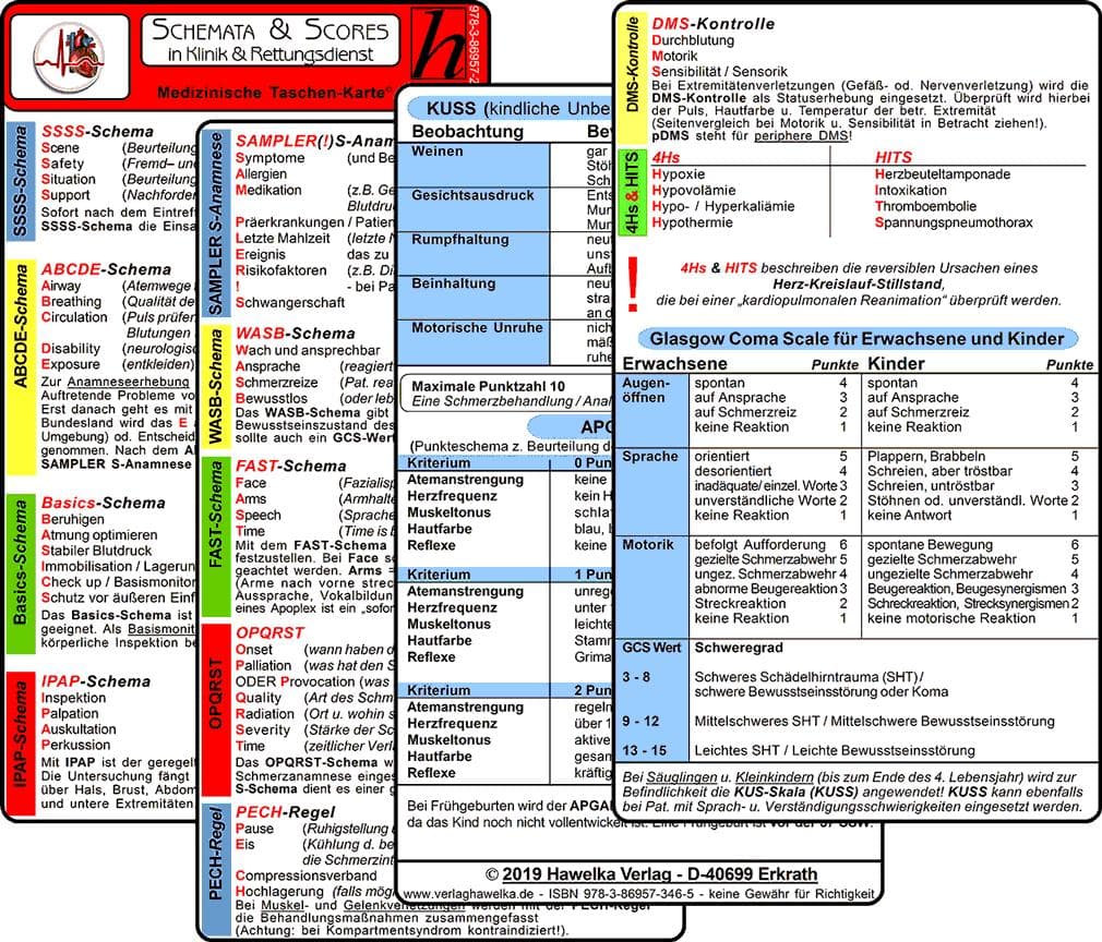 Schemata & Scores in Klinik & Rettungsdienst (2 Karten Set) - SSSS-Schema, ABCDE-Schema, Basics-Schema, IPAP-Schema, SAMPLER(!)S, WASB, FAST, OPQRST, PECH-Regel, DMS, 4Hs, HITS, GCS, KUSS, APGAR: SSSS-Schema, ABCDE-Schema, Basics-Schema, IPAP-Schema, SAMPLER(!)S, WASB, FAST, OPQRST, PECH-Regel, DMS, 4Hs, HITS, GCS, KUSS, APGAR