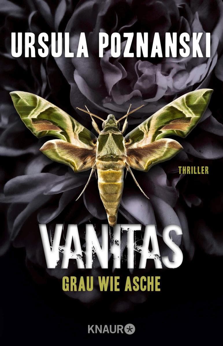 VANITAS - Grau wie Asche: Thriller