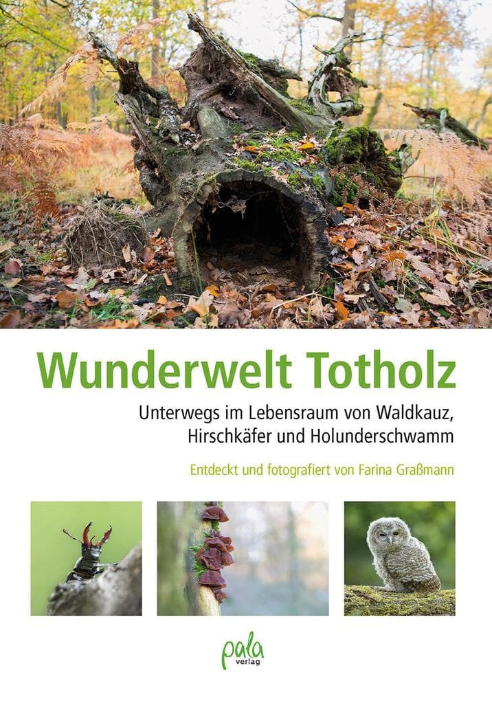 Wunderwelt Totholz: Unterwegs im Lebensraum von Waldkauz, Hirschkäfer und Holunderschwamm. Entdeckt und fotografiert von Farina Graßmann