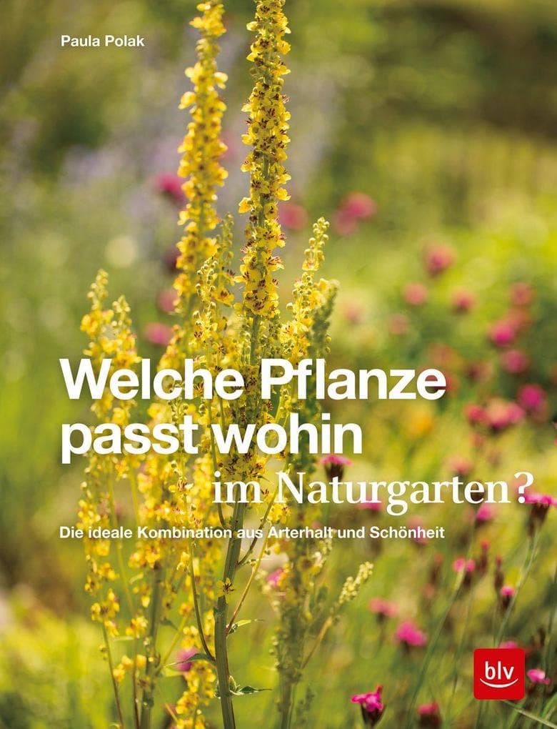 Welche Pflanze passt wohin im Naturgarten?: Die ideale Kombination aus Arterhalt und Schönheit