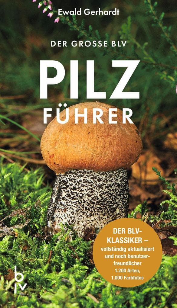 Der große BLV Pilzführer: Der BLV-Klassiker - vollständig aktualisiert und noch benutzerfreundlicher