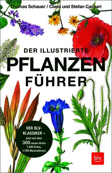 Der illustrierte Pflanzenführer: Der BLV-Klassiker - jetzt mit über 300 neuen Arten