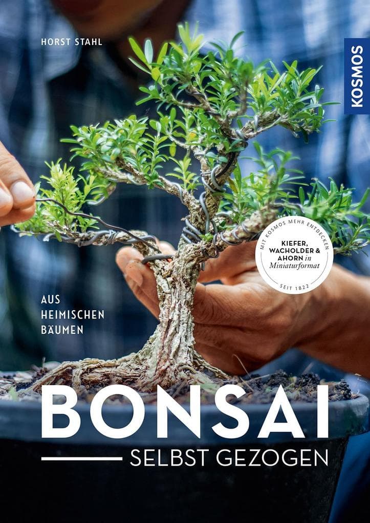 Bonsai selbst gezogen: aus heimischen Bäumen