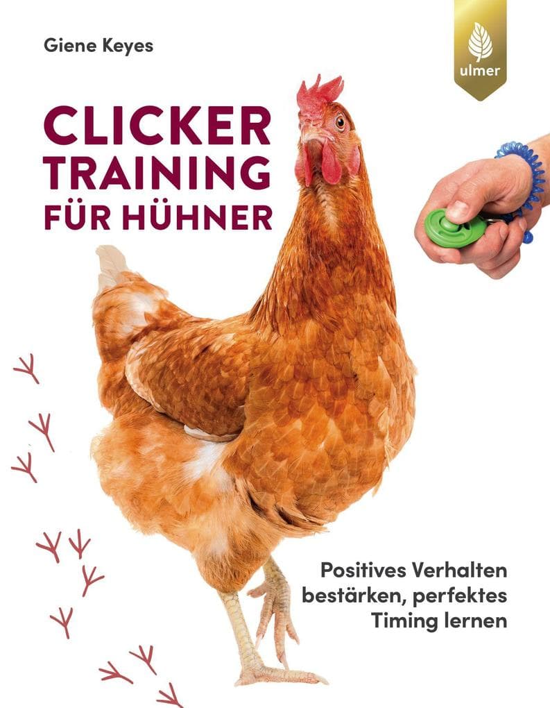 Clickertraining für Hühner: Positives Verhalten bestärken, perfektes Timing lernen