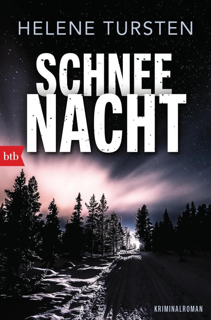 Schneenacht: Kriminalroman