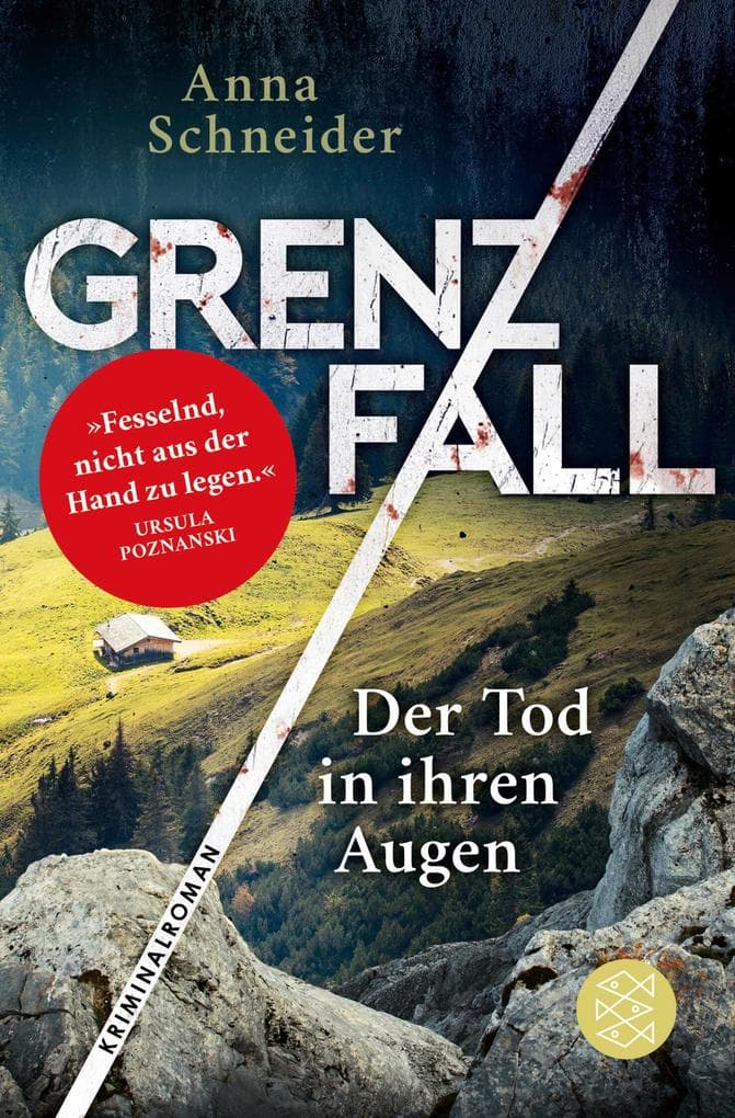 Grenzfall - Der Tod in ihren Augen: Kriminalroman | Die grenzüberschreitende Bestseller-Serie zwischen Deutschland & Österreich
